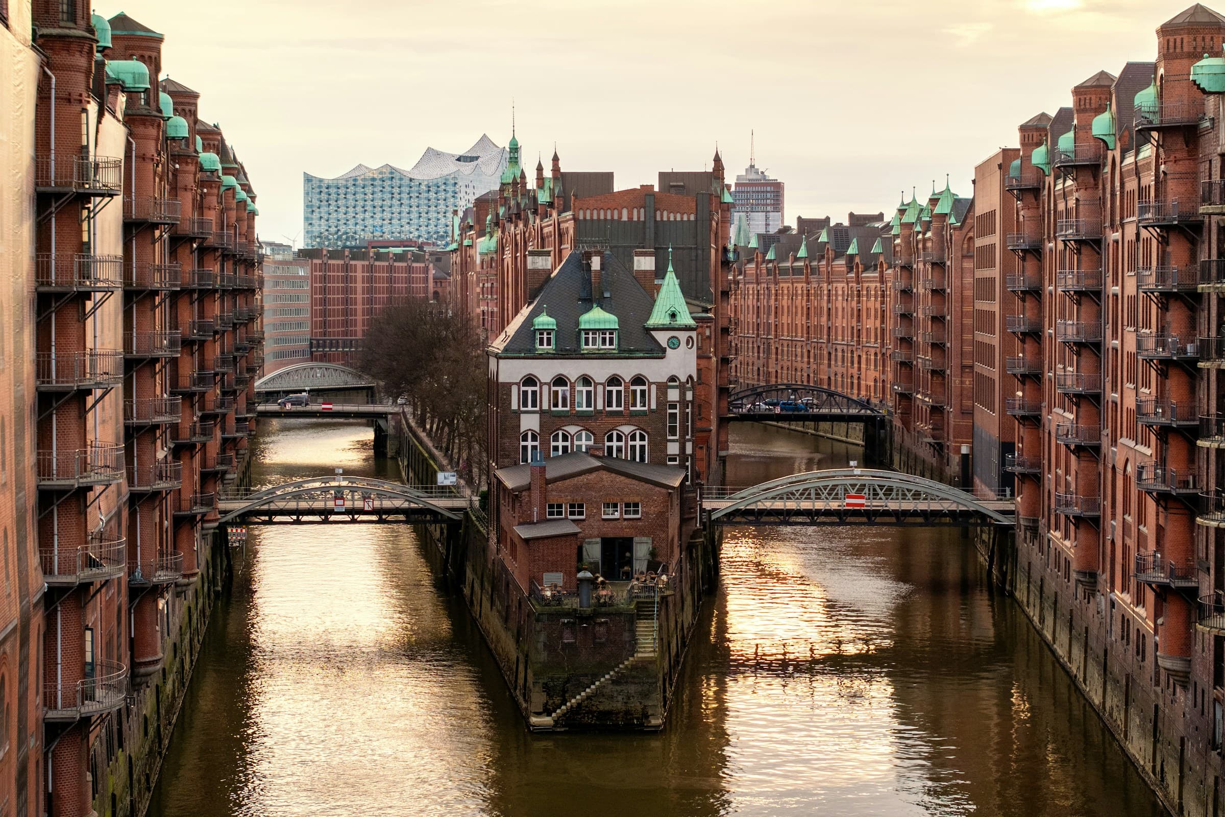 search-section-background