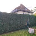 Sviatoslav K. avatar