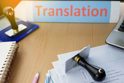 Polish-German translation services